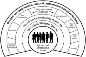 Determinants of health model